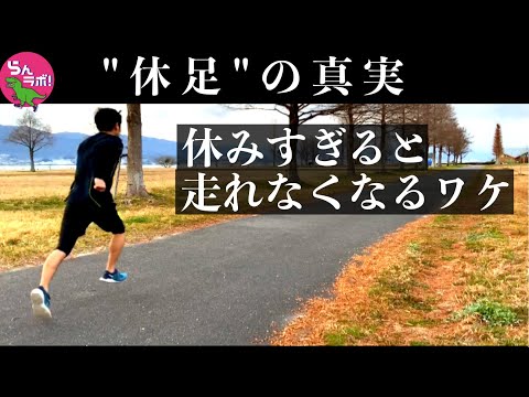 やってはいけないランニング : 走りこむだけでは「長く」「速く」走れません 61b-wOWvYuL._UF350,350_QL50_.jpg