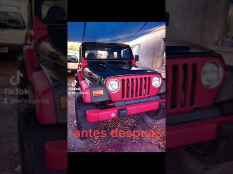 pura pintura raptor