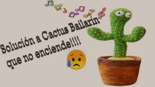 Cactus Bailarín que no enciende 😥😥 esto te puede servir 👍