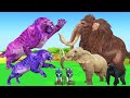 Saber vs Elephant vs Mammoth Cow Gorilla Buffalo Funny Animal  Fighting for Survival of Food