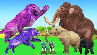 Saber vs Elephant vs Mammoth Cow Gorilla Buffalo Funny Animal  Fighting for Survival of Food