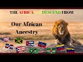 The Africa We Descend From | Ancestry of the Diaspora | West African Kingdoms