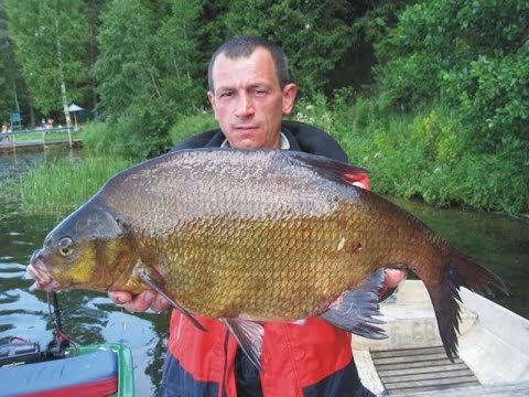 оксана на рыбалке поймала самого большого леща