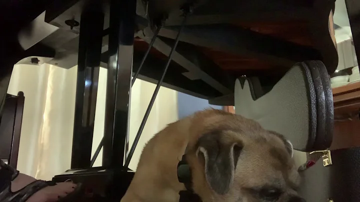 Clover sings to Beethoven Pathetique sonata moveme...