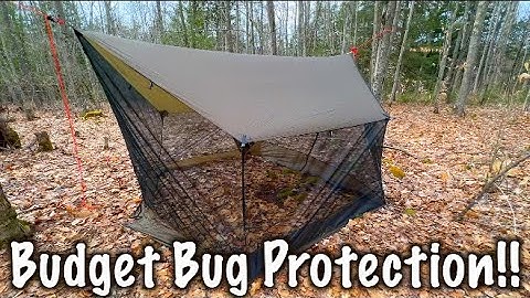 1st look / A lightweight BUDGET bug solution?! /  Preself Bug Room