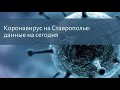 На Ставрополье антирекорд по числу погибших от коронавируса: данные на 6 августа