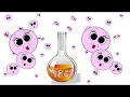 Microbiology and Cell Culture Quiz