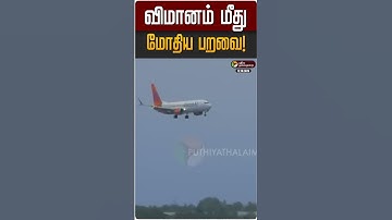 விமானம் மீது மோதிய பறவை! | FLIGHT