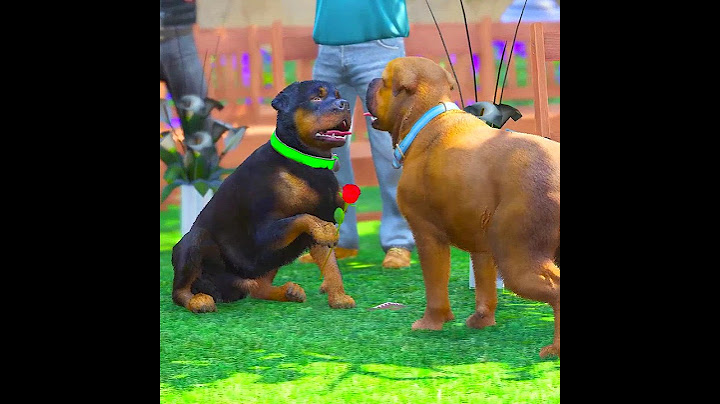GTA V WHEN FRANKLIN DOG CHOP MARRIAGE HULK DOG #shorts | Maheshwar Gamerz