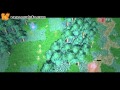 DotA - WoDotA Funny Time Vol.25