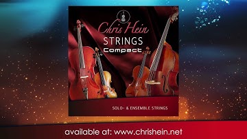 Chris Hein - Strings  Compact Overview