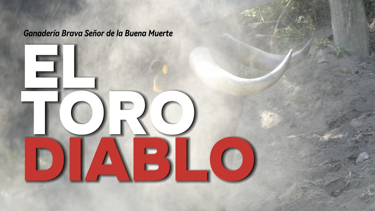 El Toro Más Bravo del Ecuador - El DIABLO es fuerza, temperamento y 500 Kilos de Poder