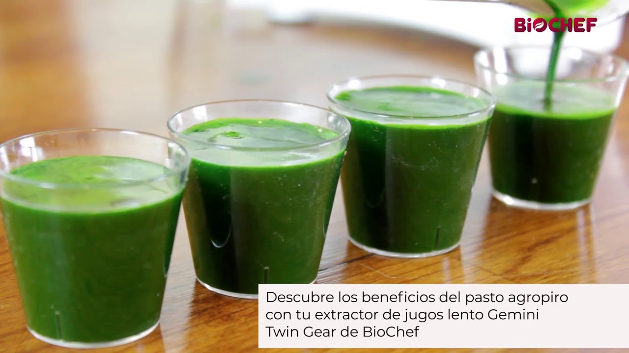Bebida de pasto de agropiro / hierba de trigo con el extractor de jugos  lentos Gemini de BioChef - YouTube