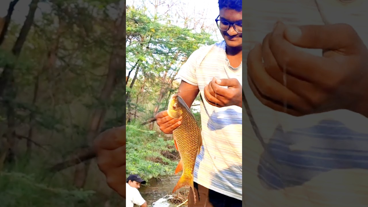 best rohu fish hunting telugu 