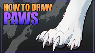 How to draw PAWS  Beginner & Advanced