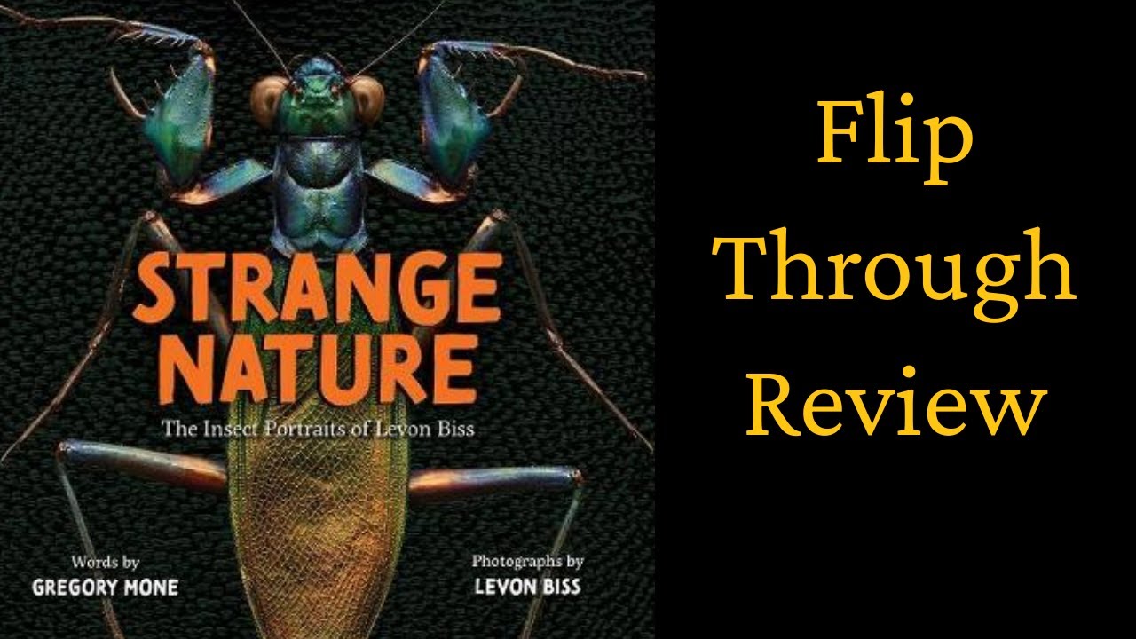 Strange Nature: The Insect Portraits of Levon Biss