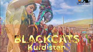 BLACKCATS (Hazhar Saleh ) - KURDISTAN