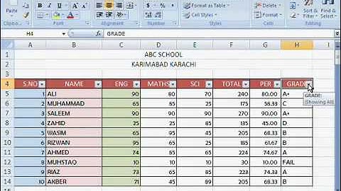 MS Excel Tutorial Urdu Part 12 By Irfan Wazir Ali