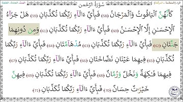 سورةُ الرحمن (58 - 71) أسامة شاهين