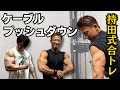 【腕トレ】今日から実践できる腕トレ種目!ケーブルプッシュダウン