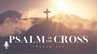 Psalm of the Cross, Ep. 1: When God Doesn&#39;t Seem to Answer