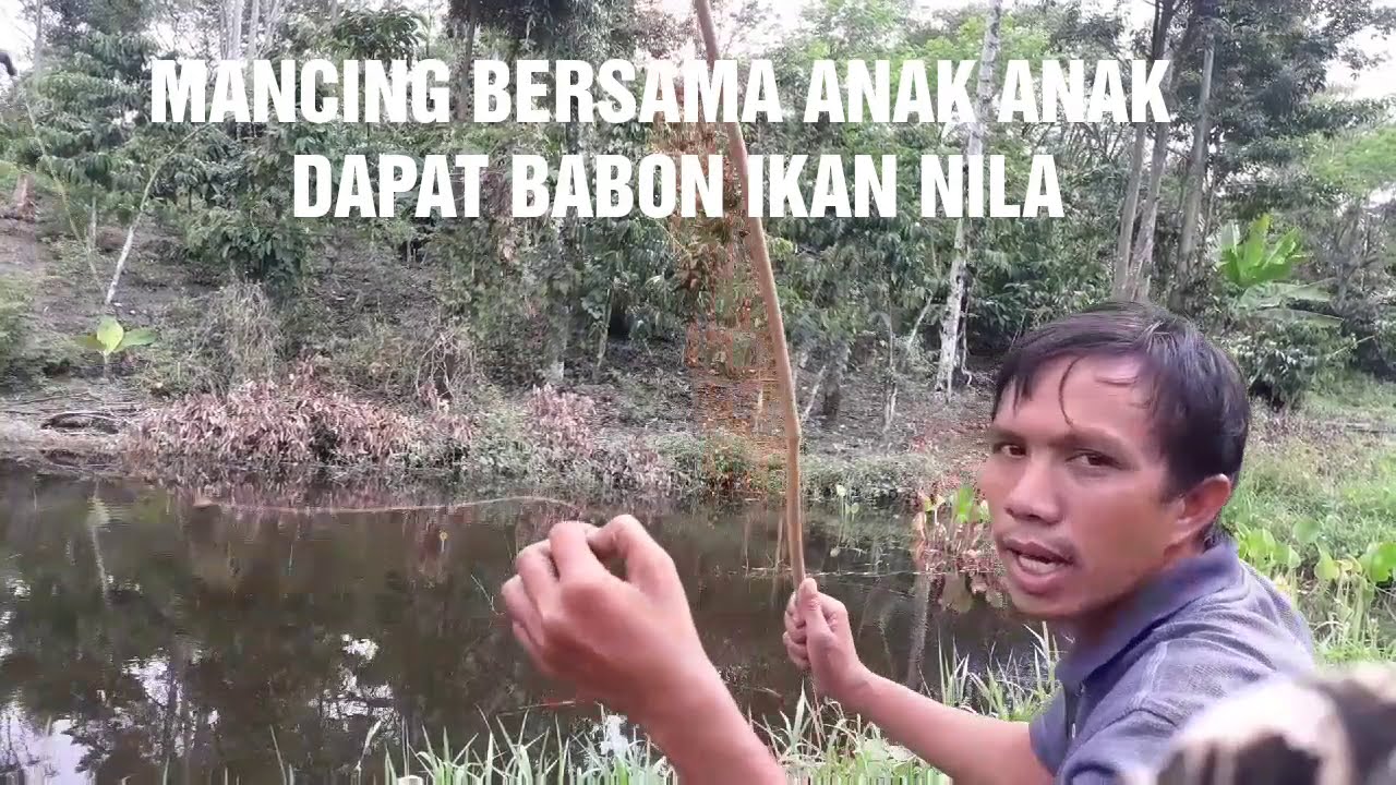 Mancing Bersama Keluarga Dapat Babon Ikan Nila