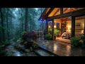 Best Rain in the Forest Cabin 🌲 | Peaceful Sleep with Rain Sounds