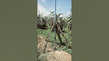 cách gia cố trụ điện sắt để đồ bê-tông một cách dễ dàng