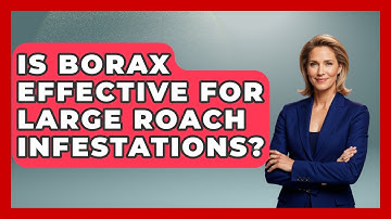 Is Borax Effective For Large Roach Infestations? - Insects and Invaders