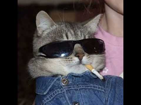 One Dance Instrumental Slowed Reverb Edit Viral Video Music Onedance Instrumental 