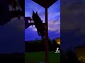 Hehe//ft:#trans flag//#fyp #fypシ゚viral #art #goodart #dragon#puppet#dragonpuppet#dragonpuppteer