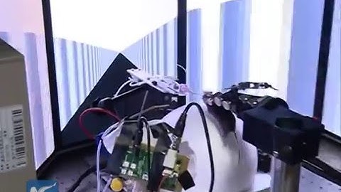 Chinese scientists use VR on rat to seek cause of brain diseases