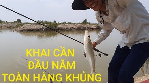Khai cần đầu năm gập toàn bóng đục chúa, @Salt Water Fishing