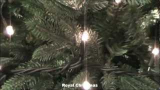 Royal Christmas - 100 Lights Connectable Lighting