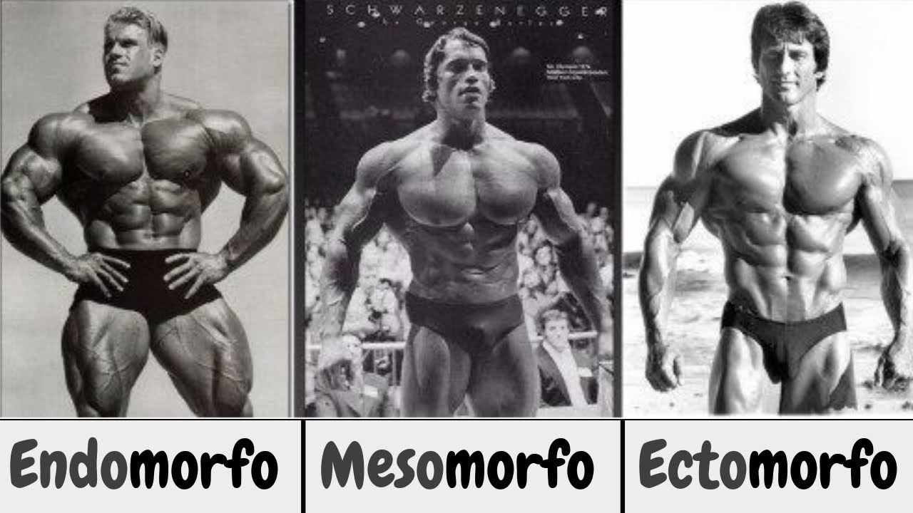 programma di dieta per endomorfo programma di dieta per endomorfo
