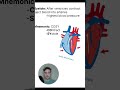 Systolic and diastolic phases of the heart dat predent