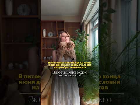 Июнь — отличное время для знакомства со своим будущим питомцем!