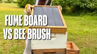 Fume Board vs Bee Brush | Which Is Better for Pulling Supers