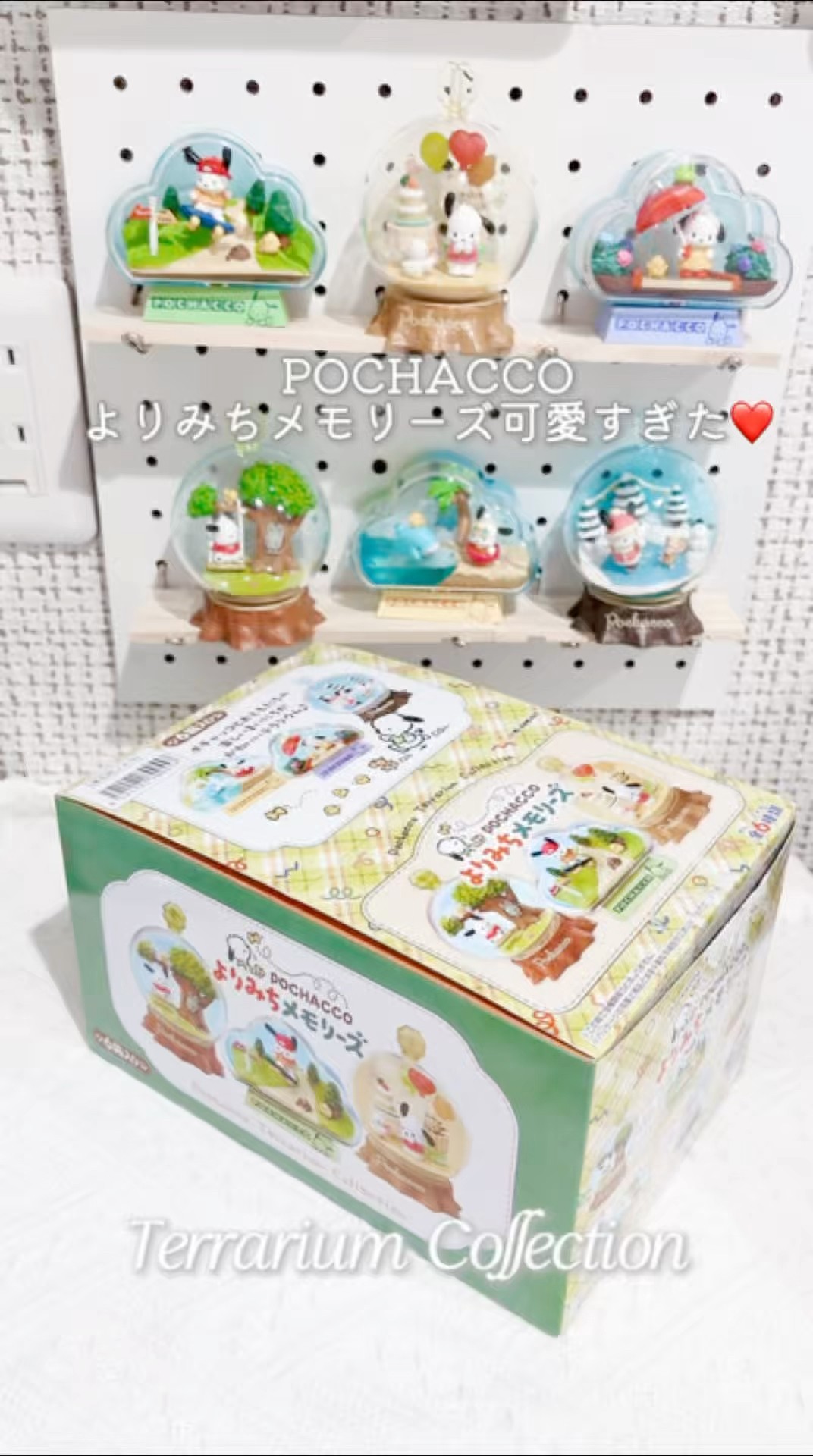 ポチャッコ　よりみちメモリーズ　オトナ買い　全種類セット Pochacco] Terrarium Side Trip Memories 🌱 Complete Set - It was so