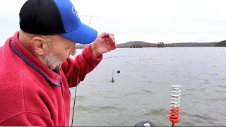 How To Troll Lures Down Deep without a Downrigger: RediRig Instant Downrigger