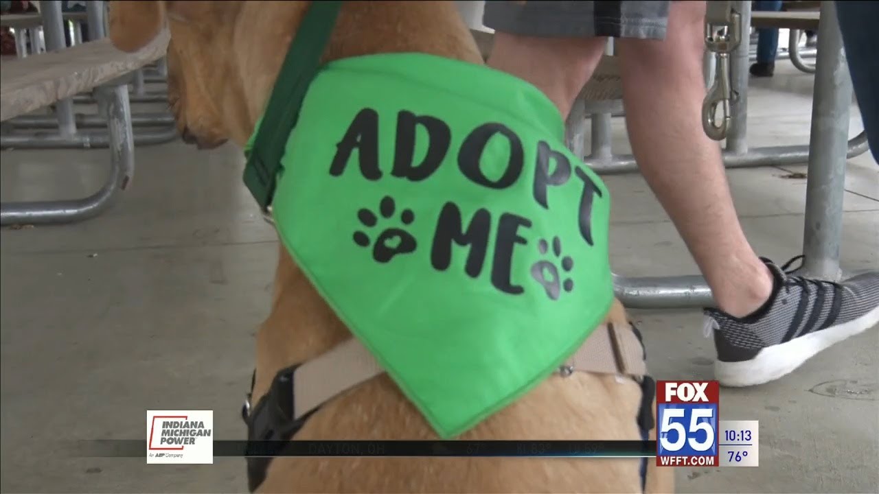 Humane Fort Wayne to find forever homes for pets at The Landing on June