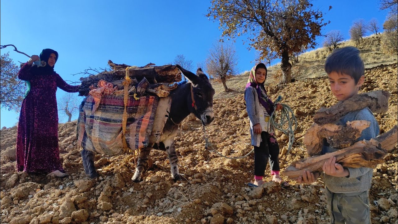 The skill of a nomadic woman to collect firewood - YouTube
