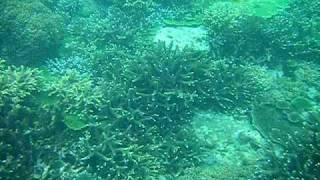 DSCF0684.AVI