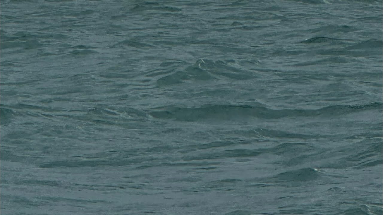 Freedom Boat Club Gulf Coast Panama City Bay Point Interview☀️🚤