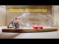 Make a  simple bottle mousetrap  that works  