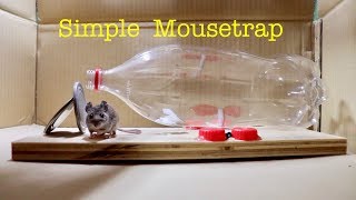 Make a ● Simple Bottle Mousetrap ( that works ! )