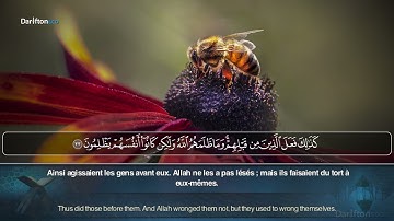 Sourate An Nahl - Ahmed Deban سورة النحل أحمد ديبان