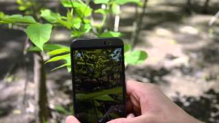 Survival Sam Weekly Review - Wilderness Multitool App screenshot 2