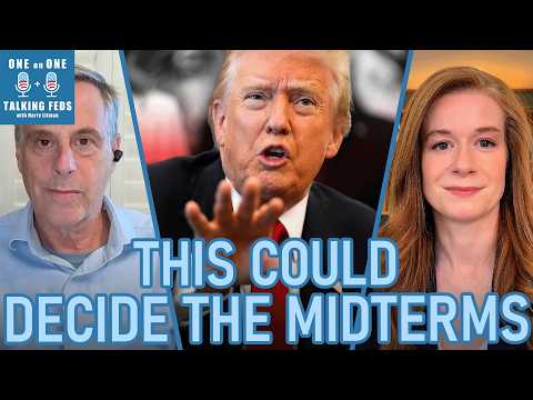 The Midterms Seen from Michigan