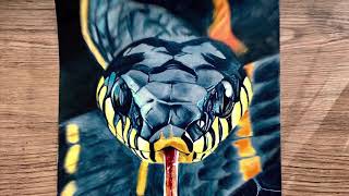 How to Draw Realistic Snake [time lapse]